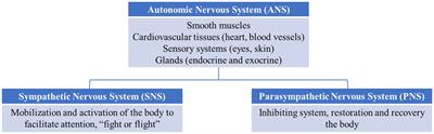 Physiological reactivity at rest and in response to social or emotional stimuli after a traumatic brain injury: A systematic review